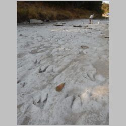 06-DSCN0396cr SW area new tracks at bottom.jpg